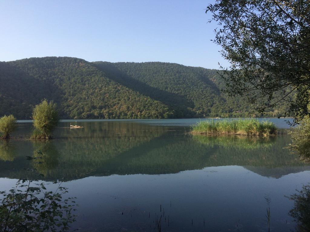 Qəbələ Nohurgöl dağ gölü və meşəlik təbiət mənzərəsi